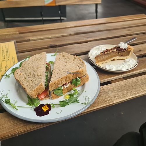  at The Hedgerow Hound in Plymouth