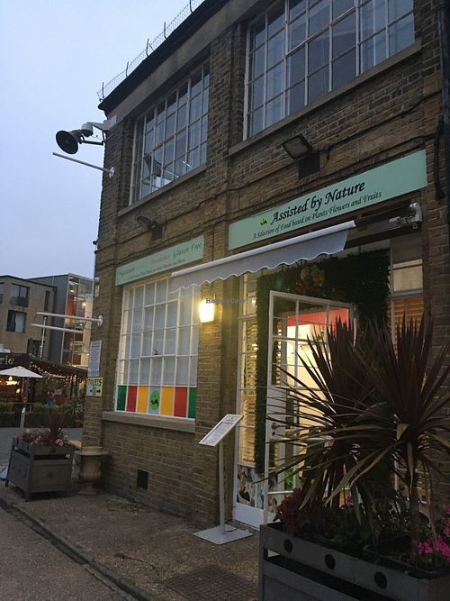 outside at Assisted by Nature in South West London