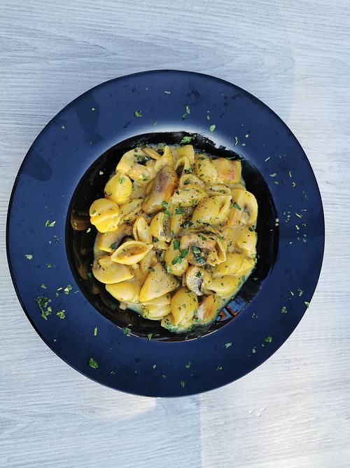 Conchiglie with Safran sauce - delicious! at Jasmine Restaurant in Planos