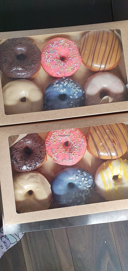 Chocolate, Strawberry, Custard-filled Fudge, Lemon Drizzle, Galaxy Vanilla and Salted Caramel at The Doughnut Family in Edinburgh