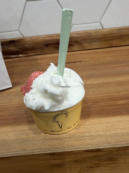   at Gelateria Borsieri in Milan
