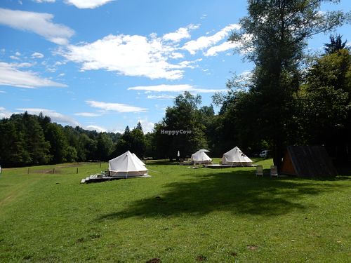 Deluxe Glamp Bell Tent at ECO River Camp in Globoko