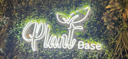 Plastic plant decor  at Plant Base in Lisbon