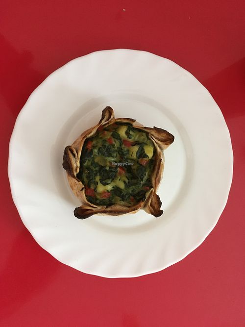 Espinaca at Plant Base in Lisbon