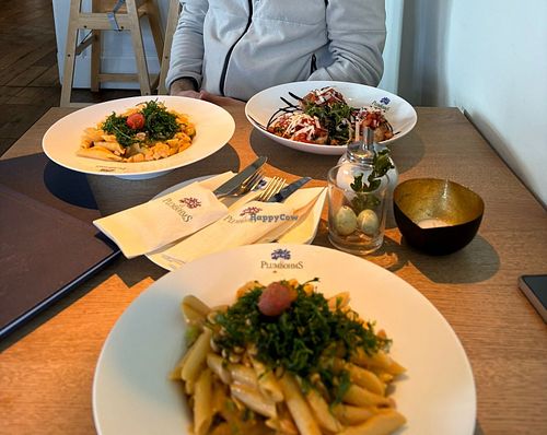 Vegane pasta mot Erdnusssoße at Plumbohms Aussichtsreich in Bad Harzburg