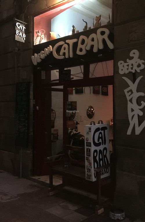  at Cat Bar in Barcelona