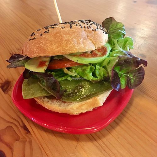  at Cat Bar in Barcelona