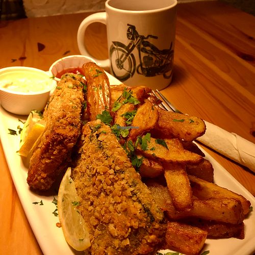  at Cat Bar in Barcelona