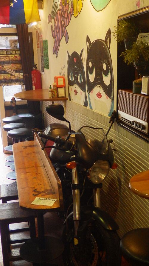 Cool for cats at Cat Bar in Barcelona