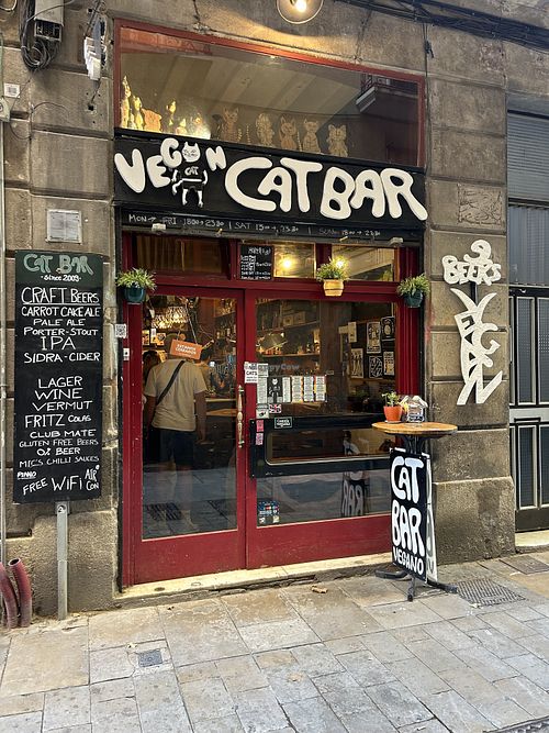 Outside   at Cat Bar in Barcelona