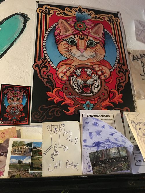 Cats! at Cat Bar in Barcelona