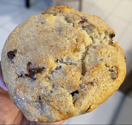 Cherry chocolate chip muffin   at Hard Times Cafe in Minneapolis