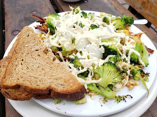 Green earth at Seward Cafe in Minneapolis