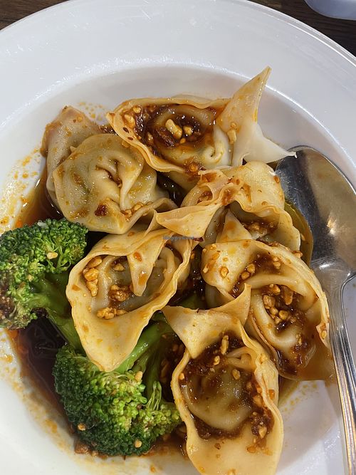 Spicy dumplings   at Veggie House  in Chicago