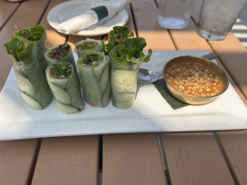 Fresh Rolls  at Exotic Thai in Davenport