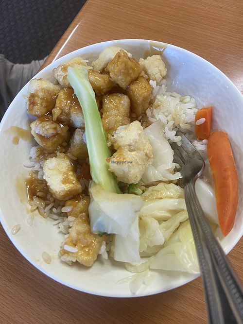 Deep fried tofu teriyaki bowl  at Tokyo Teriyaki in Astoria