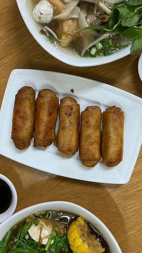 Fried spring rolls, very filling!  at Tue Tin Chay Quan in Ho Chi Minh City