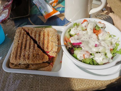 Sandwich au végé-pâté et salade verte at Café Brûlerie RDL in Riviere-du-loup