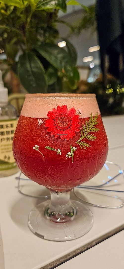 kombucha at Vegegood 素来很好 in Shanghai