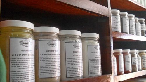 A small glance into our large bulk section. at Salud Para Vida in San Pedro La Laguna