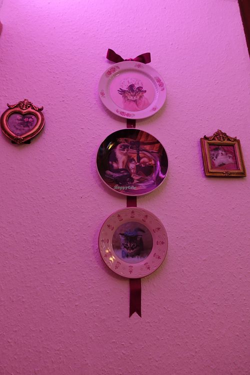 Dolores Umbridge Decoration inspired at Phoenix Book Café in Klagenfurt