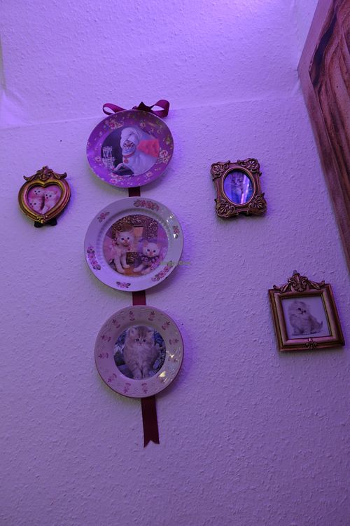 Dolores Umbridge Decoration inspired at Phoenix Book Café in Klagenfurt