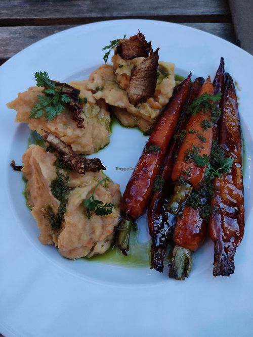 Roast carrots and kimchi mashed potato. at Mala in Leipzig