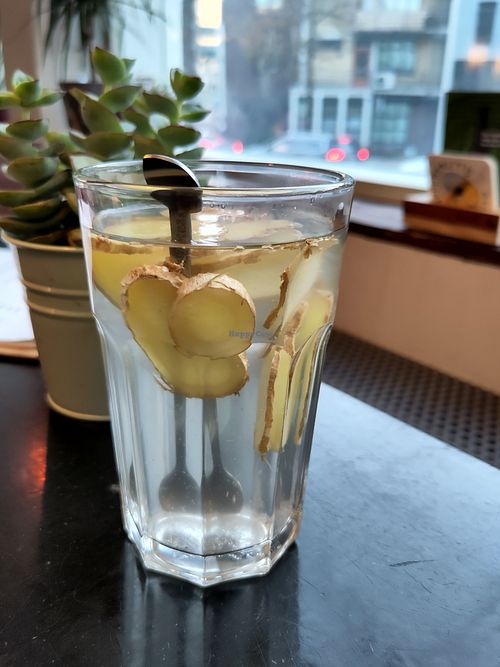 Ginger tea at Café Bosch in Arnhem