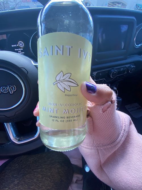 Saint Ivy Mint Mojito Sparkling Beverage (Non-Alcoholic)😛  at Indigo Burger in Newark