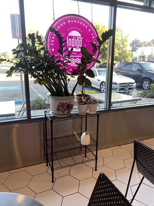 Interior Seating w/Live Plants (Minimal Outdoor Seating)  at Indigo Burger in Newark