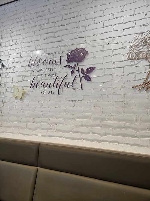  at VeGreen 2 Go in Duluth