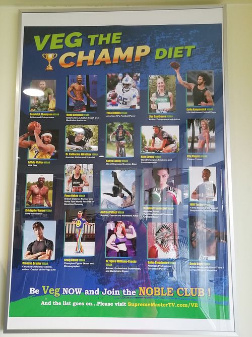 Vegans at Loving Hut in Reykjavik