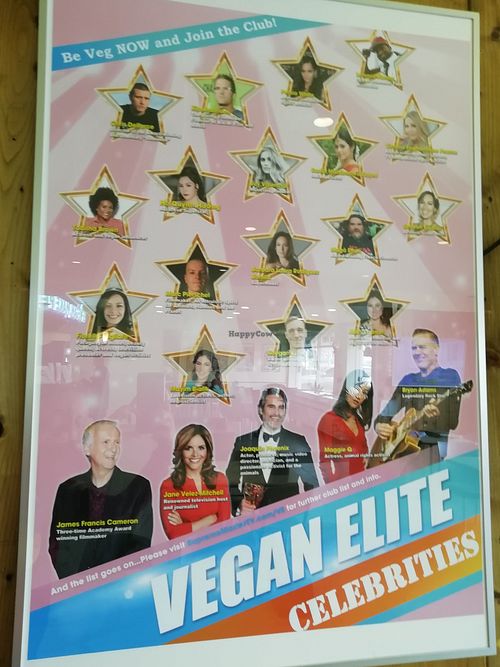 More vegans at Loving Hut in Reykjavik