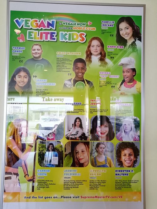 More vegans! at Loving Hut in Reykjavik