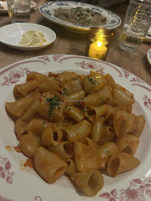 Paccheri - Pasta with Cauliflower Ragú   at Maria & Enzo's Ristorante in Lake Buena Vista