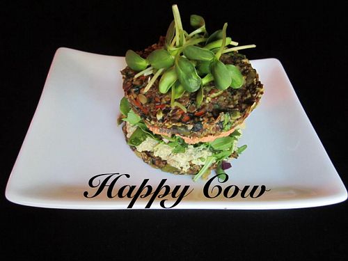 Happy Cow Veggie Burger at Chef Sara's Raw Vegan Academy and Cafe in Cave Creek