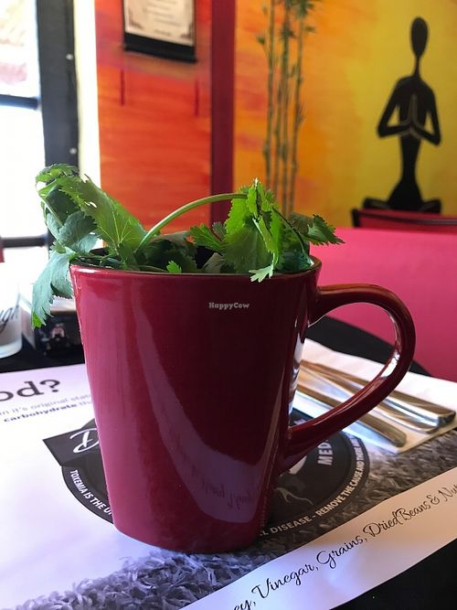 Turmeric/Cilantro/Himalayan Pink Salt - served hot  at Chef Sara's Raw Vegan Academy and Cafe in Cave Creek