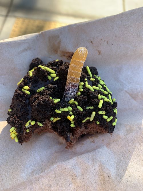 Chocolate dirt donut - really good chocolate cake donut.   at Babes in Sacramento