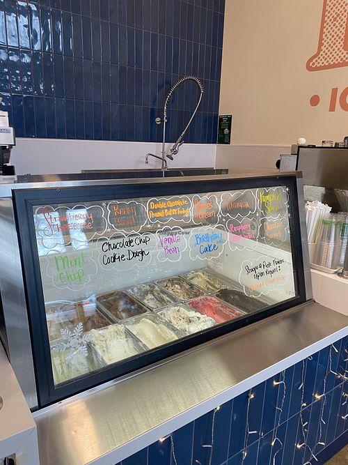 Vegan Ice Cream Section in Shop  at Babes in Sacramento