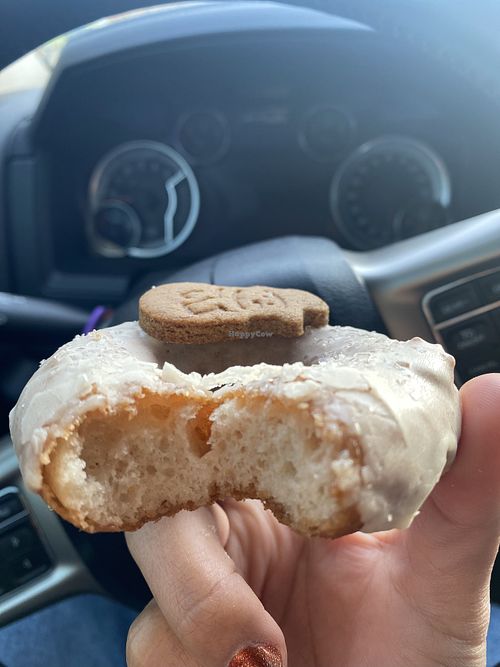 Before Devouring Vegan Gingerbread Donut  at Babes in Sacramento