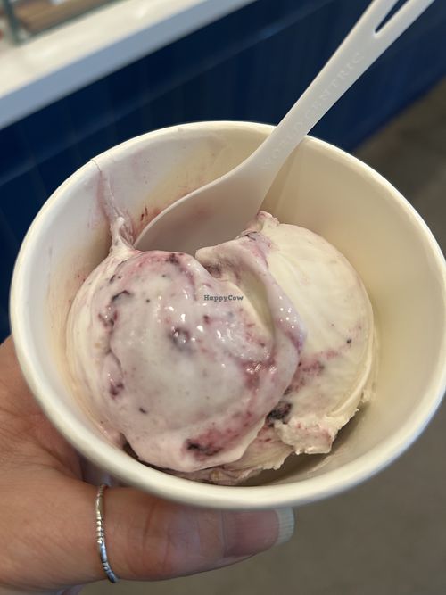 Blueberry cobbler - so damn good!   at Babes in Sacramento