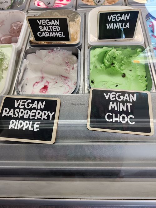  at Bucket and Spade in Stonehaven