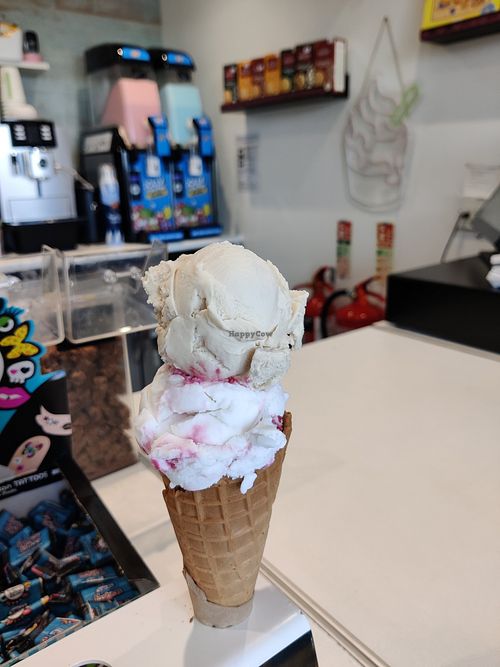  at Bucket and Spade in Stonehaven