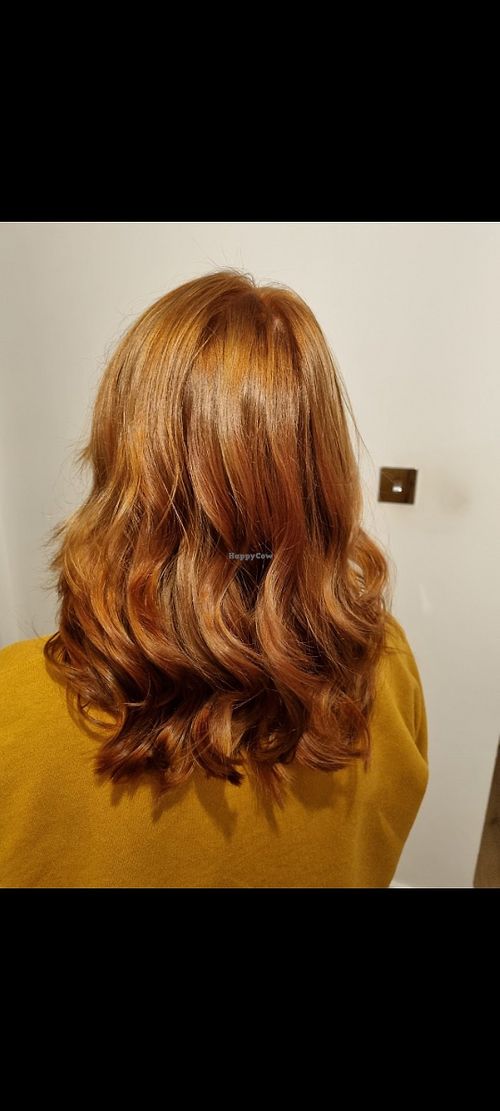 Copper toned balayage 26/11/21 at Salon Zero in Glasgow