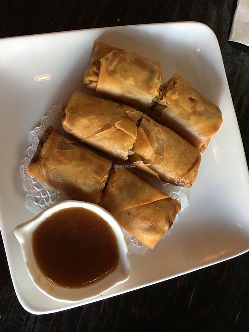 Spring rolls  at Panz Veggie Restaurant in Vancouver