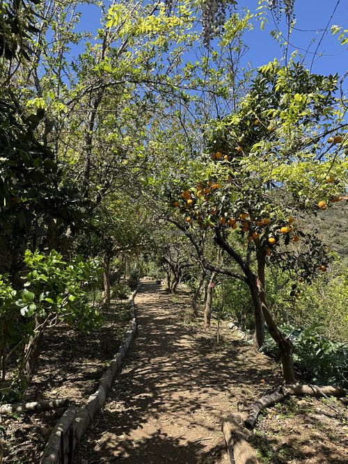 Botanical Garden of Crete