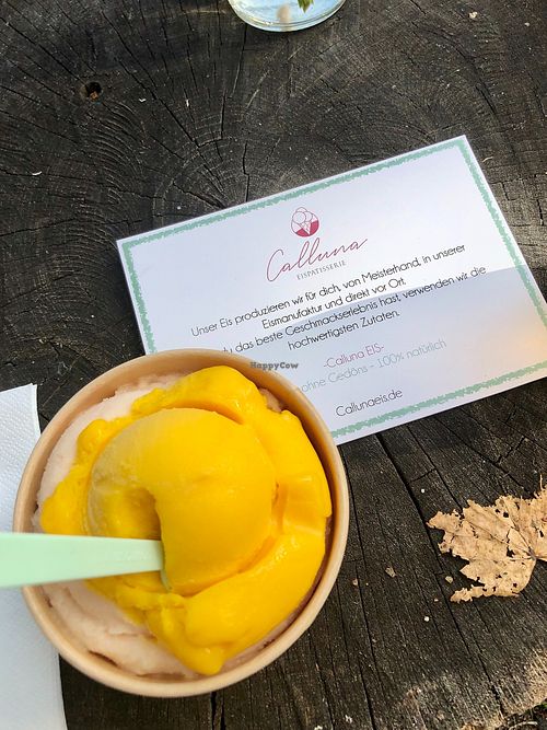 Homemade  at Calluna Eispatisserie in Lueneburg