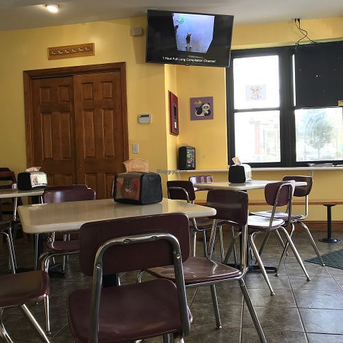 Cafe space  at Like No Udder in Providence