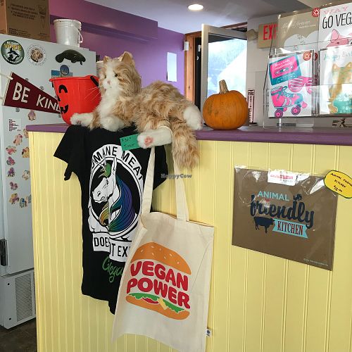 Vegan swag at Like No Udder in Providence