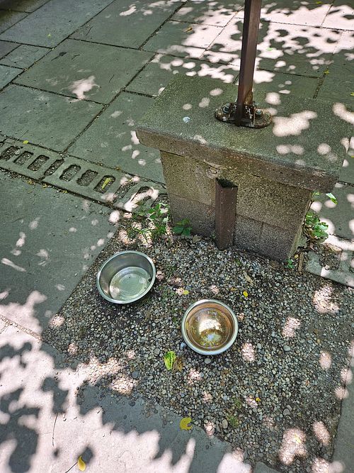  at Kentucky Native Cafe in Lexington